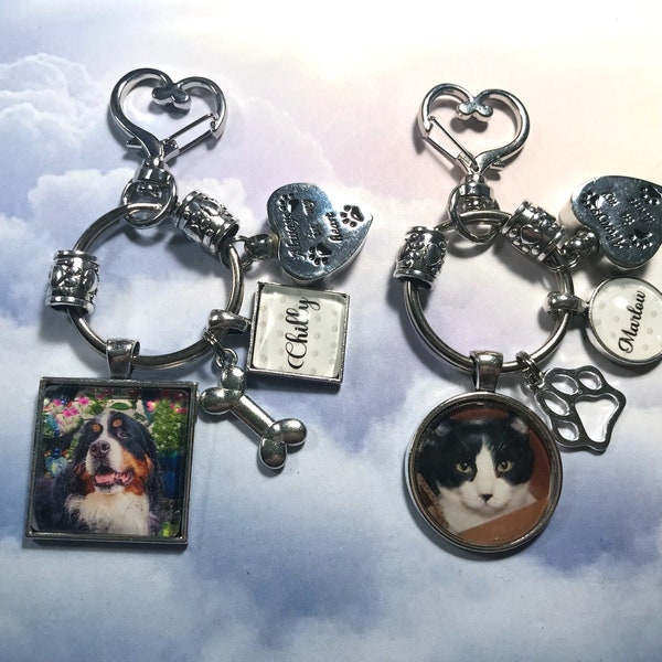 Pet Loss Key Ring with Custom Photo and Heart Cremation Urn Loss of Cat Dog Memory and Remains Vial Ash Container