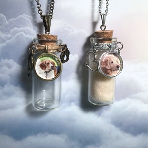 Pet Hair Ashes Vial Glass Bottle for Pet Hair Clippings or Cremation Ashes with Photo image 1