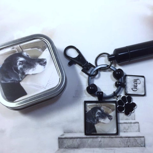 Pet Loss Cremation Key Ring Memorial Key chain with Custom Photo and Cremation Urn,  Loss of Cat  Loss of Dog Memory  Ash Container