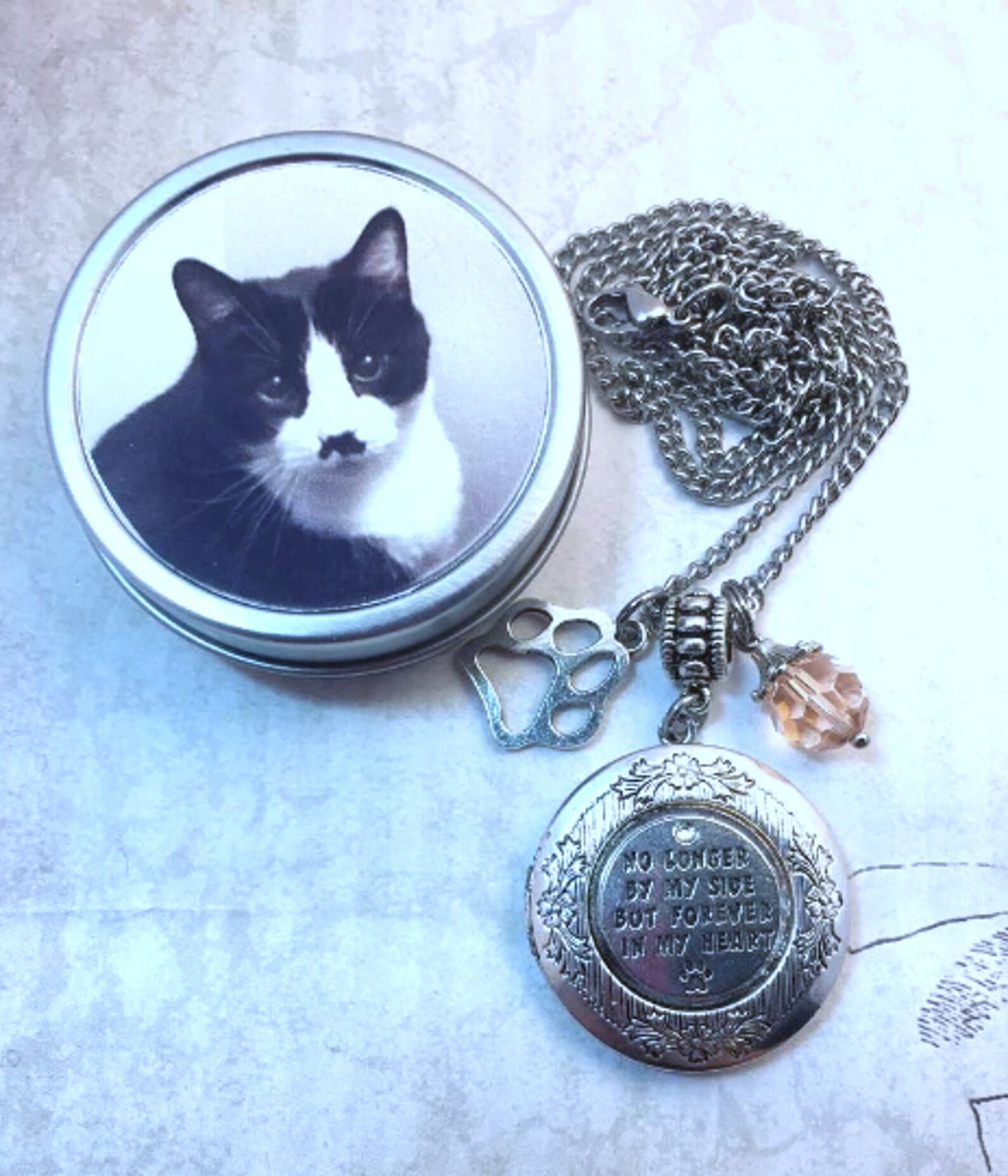 Pet Memorial Photo Locket Necklace With Birthstone Photo - Etsy