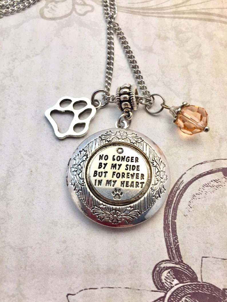 Pet Memorial Photo Locket Necklace with Birthstone Photo Etsy