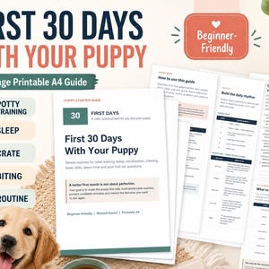 Może przedstawiać: 20-stronicowy przewodnik do druku w formacie A4 zatytułowany First 30 Days With Your Puppy. Dokument zawiera sekcje dotyczące treningu czystości, snu, klatki, gryzienia i rutyny. Zawiera etykietę dla początkujących, dzienne rytmy i pytania do weterynarza.