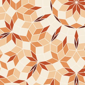 Terracotta Hendecad - Quasicrystal Ruling Fine Art Print, Geometric Wall Art image 3