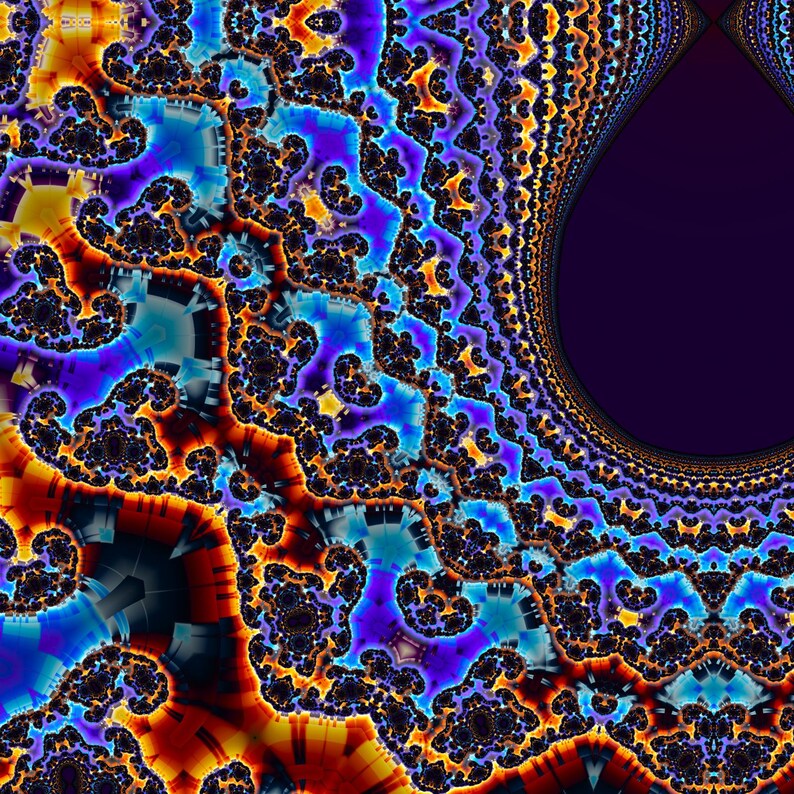 Fold and Conjugate - Burning Ship Tricorn Julia Fractal Fine Art Print, Mathematical Wall Art image 3