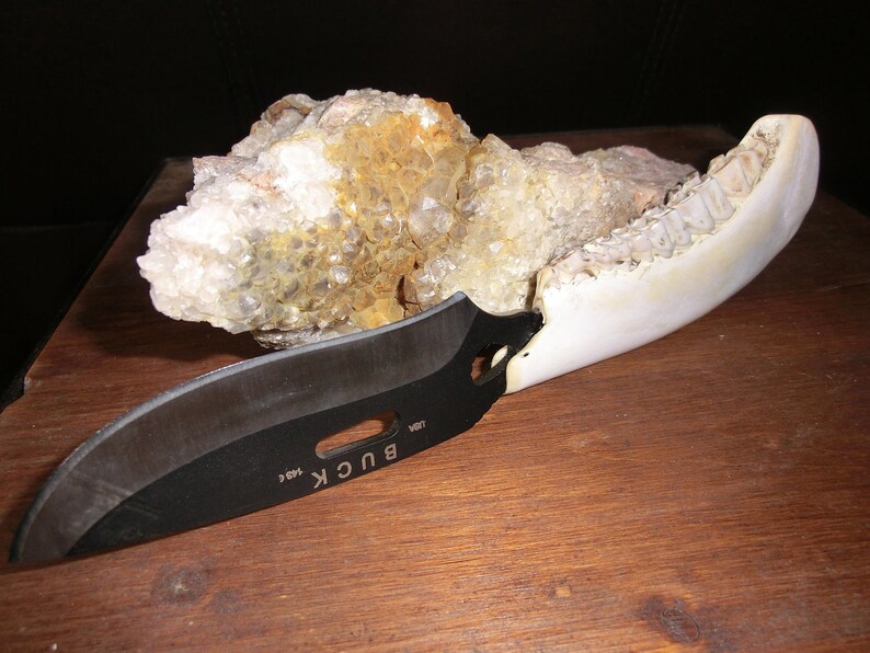 Buck 9 Knife with Deer Jaw Bone Handle Made in USA with Etsy