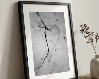 Photographie de nature en noir et blanc représentant un cœur et des brindilles, art mural romantique et minimaliste (téléchargement numérique)