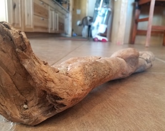 Unique pine log #43