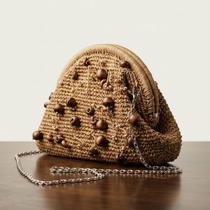 May include: A tan woven straw clutch bag with a rounded frame closure. The exterior is decorated with scattered dark brown wooden beads and small metallic accents. A thin silver-toned metal chain strap is attached to the side of the bag.
