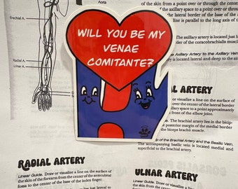 Venae Comitante Valentine sticker