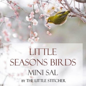 Little Seasons Birds Mini SAL - PDF DIGITAL Cross Stitch Pattern