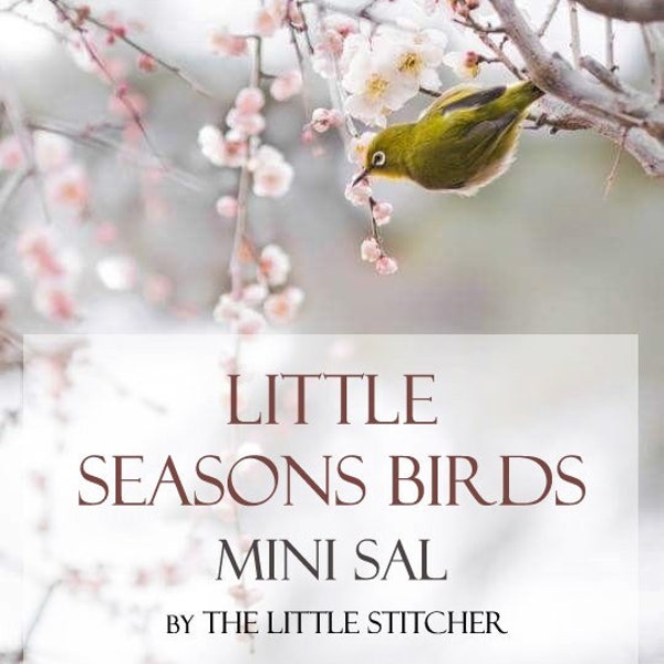 Petits oiseaux des saisons Mini SAL - modèle de point de croix numérique PDF