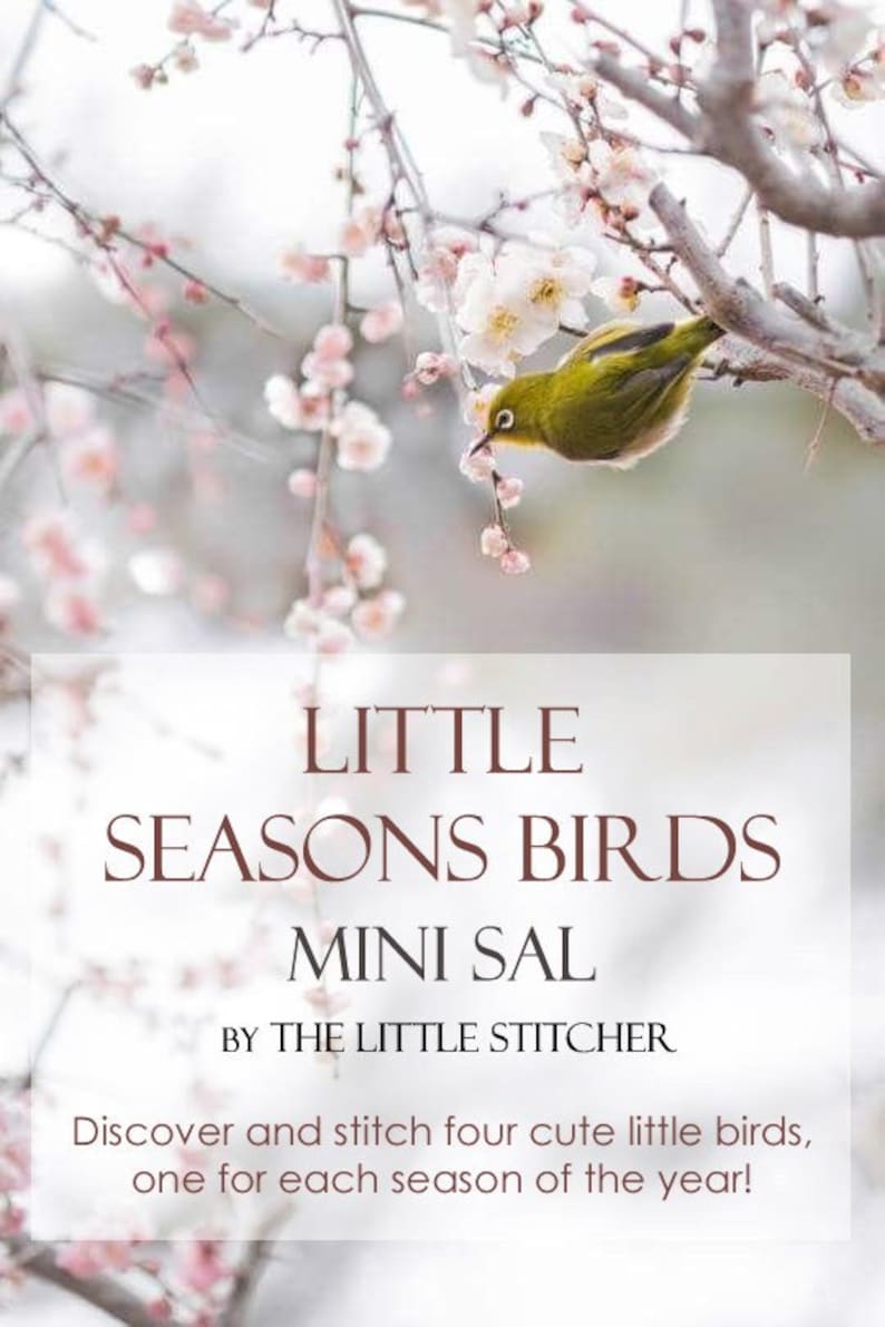 Little Seasons Birds Mini SAL PDF DIGITAL Cross Stitch Pattern image 1