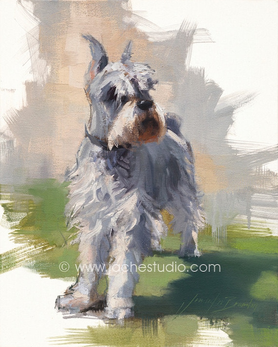 Art Schnauzer Miniature Schnauzer Art 