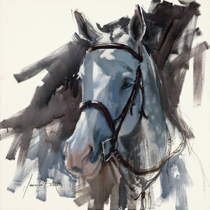 Gray Horse Portrait Giclée Fine Art Print