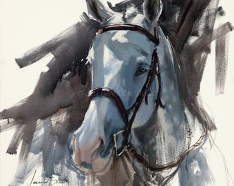 Gray Horse Portrait Giclée Fine Art Print