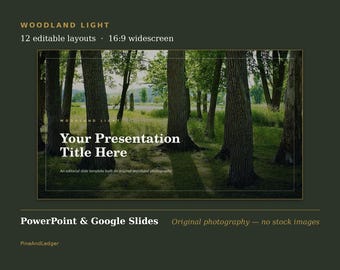 Woodland Light Presentation Template | Original Forest Photography (PowerPoint, Google Slides)