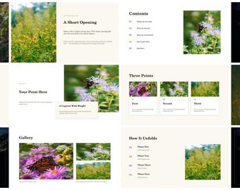 Nature PowerPoint Template Bundle | 6 Presentation Templates, 64 Slides, Original Landscape Photography | Google Slides | Download