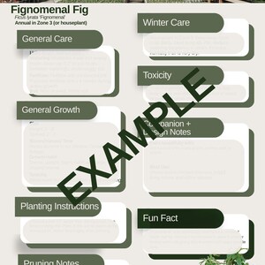 May include: A white informational care sheet for a Fignomenal Fig plant with dark green headers including General Care, Winter Care, Toxicity, Planting Instructions, and Pruning Notes. The word EXAMPLE is printed in large black letters across the centre.