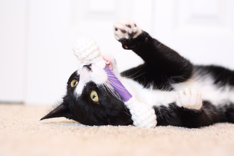 Cat Toy LARGE Cotton Swab Cat Toys Available in Catnip Etsy