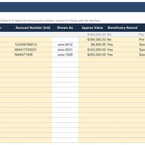May include: A digital spreadsheet titled Accounts and Assets with columns for Asset, Type, Institution, Account Number, Shown As, Approx Value, Beneficiary Named, Beneficiary, Joint Owner, and Document Location, containing financial data entries.