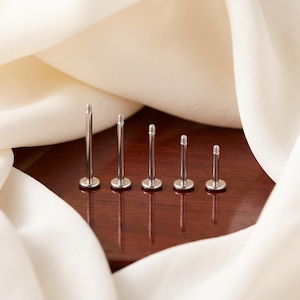 May include: Five silver-toned metal labret studs arranged in a row by height. Each stud features a flat circular base, a smooth cylindrical post, and a threaded top end. The metallic finish is polished and reflective, showing a consistent design.