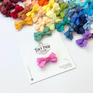 May include: A pink ribbon hair bow attached to a white display card featuring the text Tiny Paw Club Hair Accessories and your fur-baby's new favorite hair clips. A collection of various colored ribbon hair bows is scattered in the background.