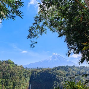 May include: A view of a snow-capped volcanic mountain peak rising above a dense, green tropical forest canopy under a bright blue sky. A tall, thin waterfall cascades down the side of the lush, tree-covered cliff in the foreground.