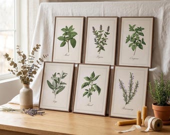 Affiches botaniques vintage, décoration murale pour la cuisine sur le thème des herbes aromatiques, ensemble de 3 posters botaniques sur toile style cottagecore, décoration de cuisine de ferme