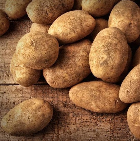 Russet Potato Seeds 70 TPS True Potato Seeds Russet Yellow Etsy