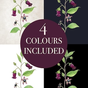 May include: A four-panel botanical print featuring bell-shaped purple flowers and green leaves on vintage, storm, white, and black backgrounds. The text reads VINTAGE, STORM, WHITE, BLACK, and 4 COLOURS INCLUDED in the centre of the image.