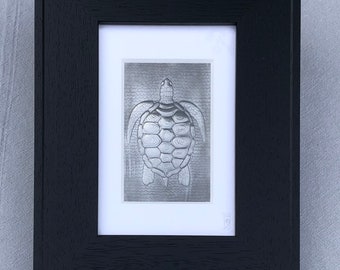 Turtle Picture in Embossed Pewter