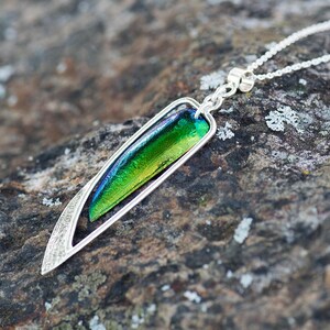Insect wing pendant