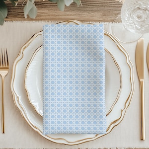 Blue Cane Dinner Napkins, Blue and White Cane Napkin Set of 4, Grandmillennial Home Decor, Coastal Kitchen Decor, Custom Gift for Her