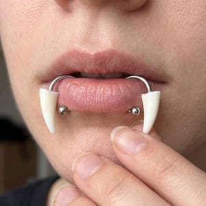 May include: A curved barbell lip piercing featuring two white, pointed fang-shaped ends. The jewelry is made of polished metal with a circular bar that sits horizontally across the lower lip, secured by small silver-toned spherical beads.