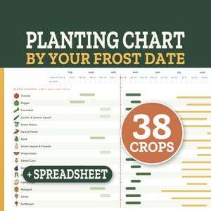 以下が含まれることがあります： PLANTING CHART BY YOUR FROST DATEというタイトルの植栽チャート。野菜や花のアイコンが付いた38種類の作物のリストが掲載されています。チャートには2月から8月までのタイムラインと、38 CROPS + SPREADSHEETと書かれた円形のバッジが含まれています。