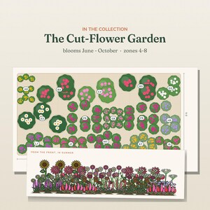 May include: A garden planning guide titled The Cut-Flower Garden, featuring a top-down layout map with plant labels and an 8 ft dimension marker, plus a front-view illustration of summer blooms. The text indicates it blooms June through October.