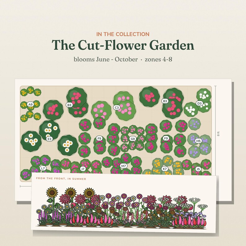 May include: A garden planning guide titled The Cut-Flower Garden, featuring a top-down layout map with plant labels and an 8 ft dimension marker, plus a front-view illustration of summer blooms. The text indicates it blooms June through October.