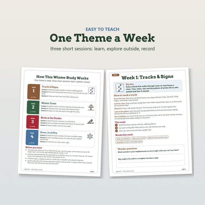 K&ouml;nnte beinhalten: Zwei Bildungsseiten mit dem Titel Easy to Teach One Theme a Week. Die linke Seite skizziert einen vierw&ouml;chigen Winterstudienplan mit Tracks and Signs, Winter Trees, Birds at the Feeder und Snow, Ice and Sky. Die rechte Seite beschreibt Woche 1.