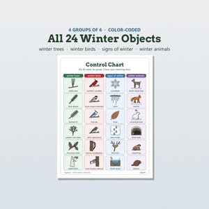 May include: A color-coded control chart titled All 24 Winter Objects, organized into four groups: winter trees, winter birds, signs of winter, and winter animals. Each category contains six illustrated icons with labels for various seasonal items.