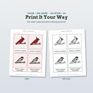 May include: Two printable sheets featuring 3-part cards of winter birds. One sheet displays colored illustrations of a northern cardinal and a black-capped chickadee, while the other shows the same images in black and white for coloring.