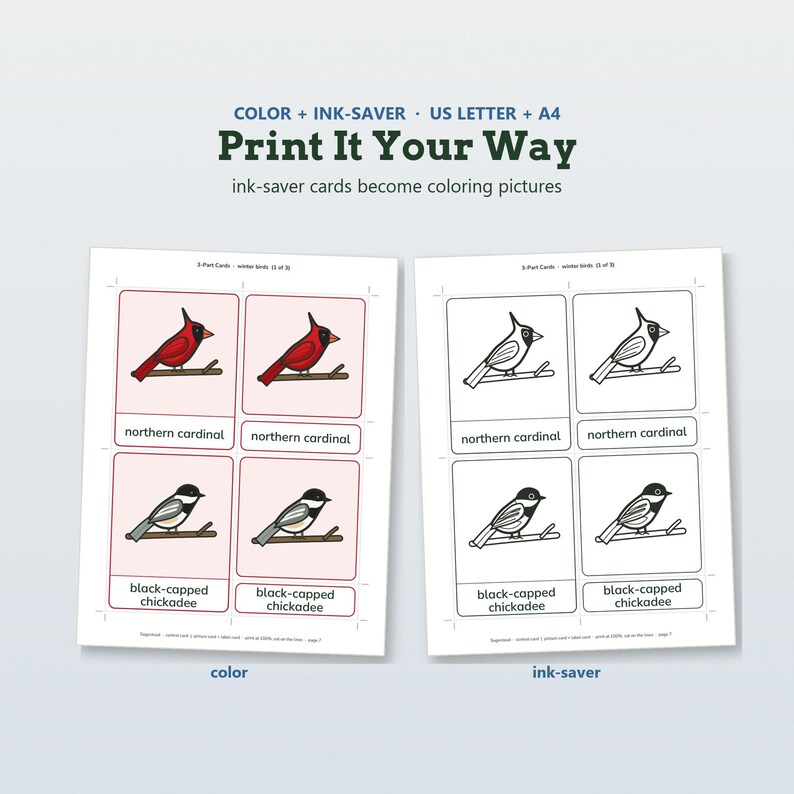 May include: Two printable sheets featuring 3-part cards of winter birds. One sheet displays colored illustrations of a northern cardinal and a black-capped chickadee, while the other shows the same images in black and white for coloring.