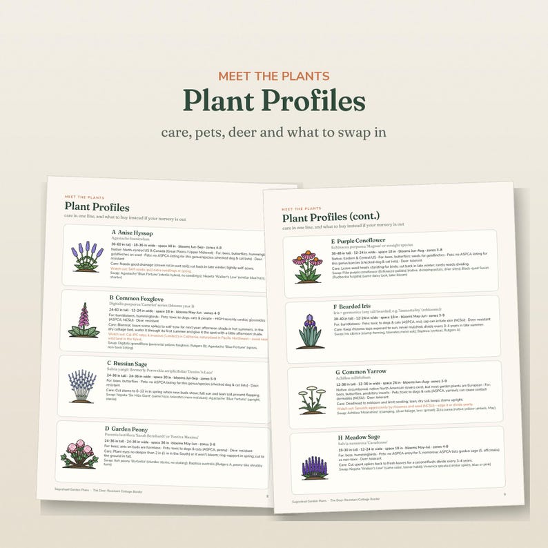 May include: Two pages of a document titled Meet the Plants Plant Profiles, care, pets, deer and what to swap in. The pages list eight plants labeled A through H, each with a small illustration, botanical name, size, zone, and care instructions.
