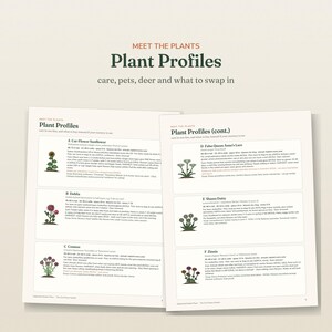 May include: Two pages of a gardening guide titled Plant Profiles, featuring illustrations and care instructions for six flowers: Sunflower, Dahlia, Cosmos, False Queen Anne's Lace, Shasta Daisy, and Zinnia, with text detailing plant height, spacing, and bloom times.