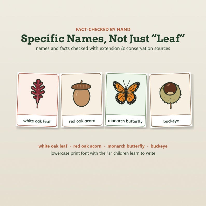 May include: Four educational cards featuring illustrations of a white oak leaf, red oak acorn, monarch butterfly, and buckeye. The text reads: FACT-CHECKED BY HAND, Specific Names, Not Just Leaf, and lowercase print font with the a children learn to write.