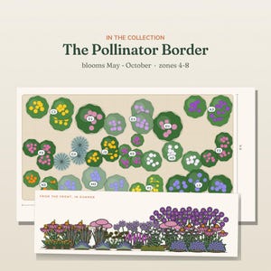 May include: A garden design plan titled The Pollinator Border, blooms May-October, zones 4-8. It features a top-down layout with labeled plant clusters and a side-view illustration showing flowers in pink, purple, orange, and green, 8 ft wide.