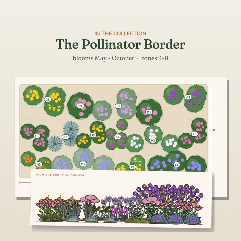 May include: A garden design plan titled The Pollinator Border, blooms May-October, zones 4-8. It features a top-down layout with labeled plant clusters and a side-view illustration showing flowers in pink, purple, orange, and green, 8 ft wide.