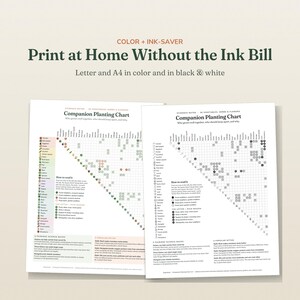 May include: Two companion planting charts on white paper, one in color and one in black and white. The text reads: Color + Ink-Saver, Print at Home Without the Ink Bill, Letter and A4 in color and in black and white, Companion Planting Chart.
