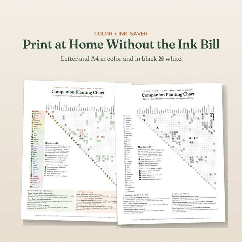 May include: Two companion planting charts on white paper, one in color and one in black and white. The text reads: Color + Ink-Saver, Print at Home Without the Ink Bill, Letter and A4 in color and in black and white, Companion Planting Chart.