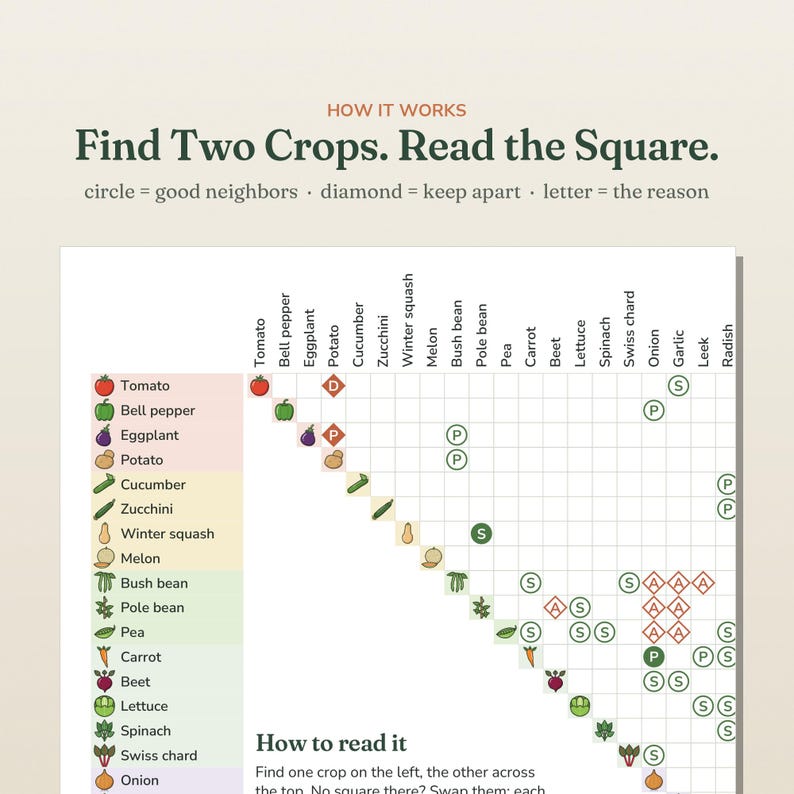 May include: A companion planting chart titled How it works Find Two Crops. Read the Square. The grid displays vegetable icons with circles for good neighbors and diamonds for crops to keep apart, labeled with letters indicating the reason.