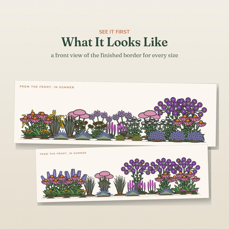 May include: Two horizontal illustrations showing a garden border from the front in summer. Text reads: SEE IT FIRST What It Looks Like, a front view of the finished border for every size, and FROM THE FRONT, IN SUMMER. Colorful flowers are depicted.